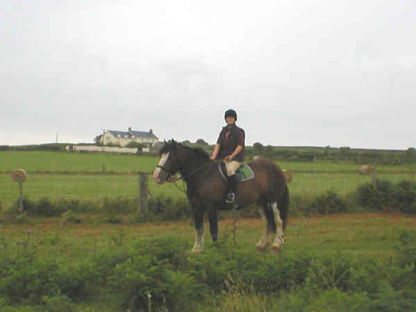 Horse Riding at Heol-y-Mynydd