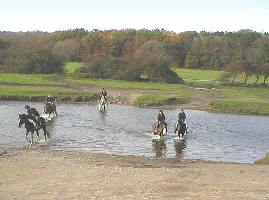Horse Riding and Pony Trekking