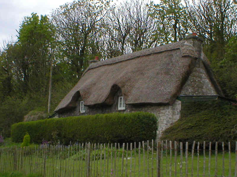 Thatched Cottage at Dunraven Bay