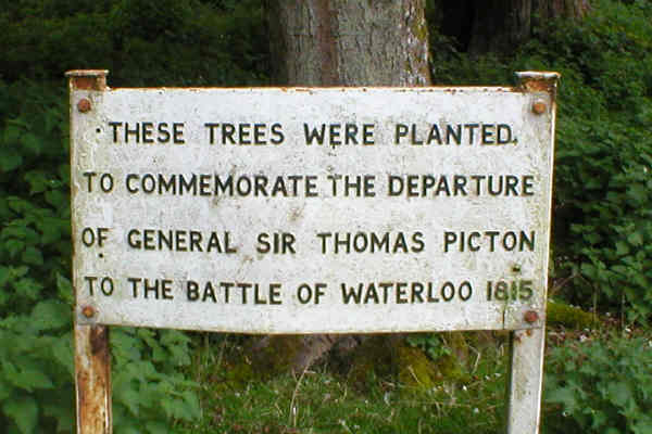 Sign to identify trees as those Planted to mark General Picton's departure for Waterloo in 1815