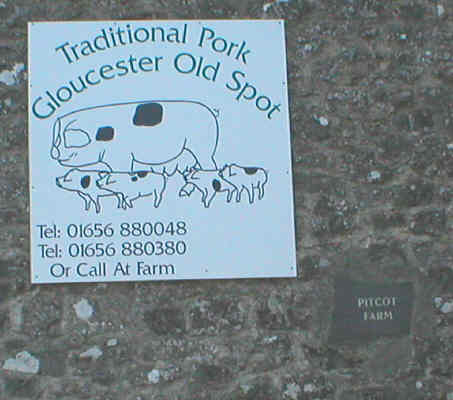 Slade Farm Organics traditional pork Gloucester Old Spot Pitcot Farm St Brides Major